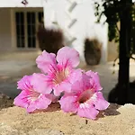 Casa Madoria 圣克莱蒙